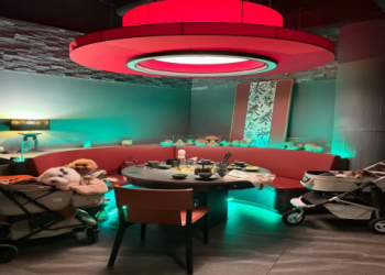 台中寵物火化ptt討論熱點?這5大評價重點必知!