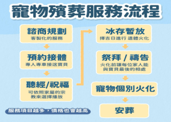 寵物火化如何選擇最好?(資深寵主分享挑選秘訣)