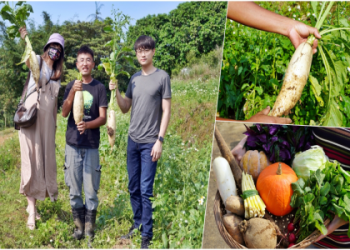 新店寵物靈骨塔怎麼挑選最適合?專家分享三大秘訣指南!