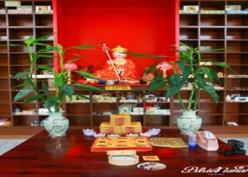 寵物火化骨頭花費貴嗎?費用透明省錢攻略全公開!