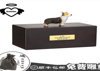 寵物骨灰罈扶正怎麼做?簡單5步驟教你正確安置!