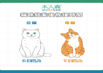 寵物植入晶片要多少錢?費用參考及補助全解析