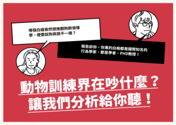 寵物訓練師沒效果怎麼辦?2個關鍵改善方式