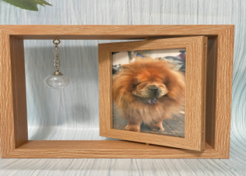 專業台中寵物禮儀推薦!這幾家讓毛孩暖心道別