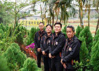 苗栗寵物火化怎麼處理?(簡單步驟教你一次搞定)