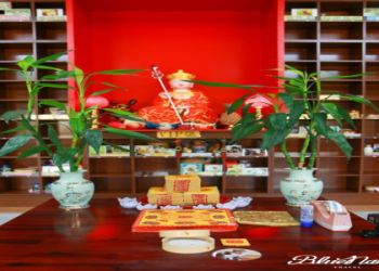 新北市寵物納骨塔怎麼申請?三個步驟輕鬆搞定超簡單!