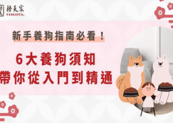 了解老狗癲癇症狀的不同類型與應對指南