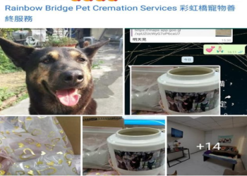 寵物塔位怎麼挑最安心?注意這4件事主子好長眠