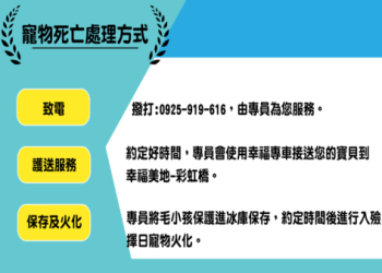 中和寵物靈骨塔費用多少?完整價格清單大公開!