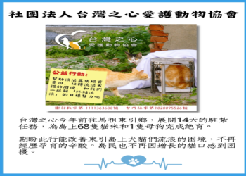 如何支持板橋流浪動物之家?捐款與捐助簡單方法