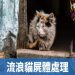 動物屍體處理正確流程?環保署教你這樣做最安心