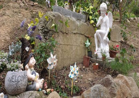 寵物火化費用要多少?(預算準備指南一次看)