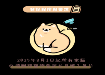 為何要付貓植入晶片費用?重要好處安全必看!