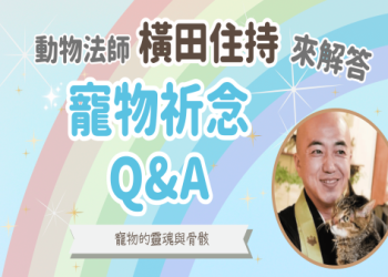 寵物骨灰塔怎麼做?五個步驟親手打造紀念地!