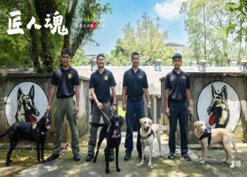 為什麼選擇動物葬儀社?關鍵好處暖心解析說明!