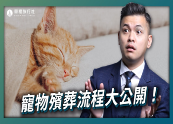 寵物墓園台北注意事項!飼主必須知道的實用指南