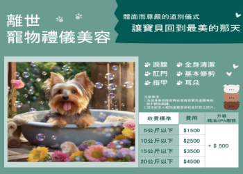 為什麼選擇寵物星際埋葬?環保好處與意義大公開!