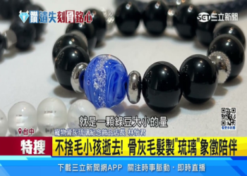 寵物骨灰鑽石價格多少?省錢技巧一次全公開!