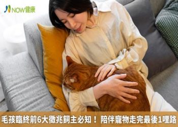寵物投胎時間多久?揭密毛孩轉世的3個冷知識