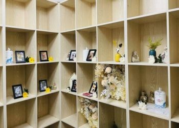 寵物火化服務價格多少?完整費用說明一次看明白!