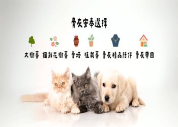 新北市寵物火化推薦哪家好?這5家業界首選口碑爆棚!