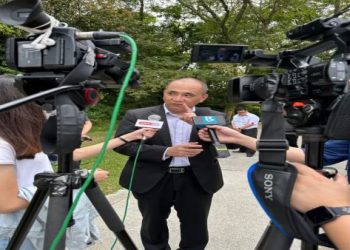 骨灰樹種植全攻略:從準備到養護一次學會