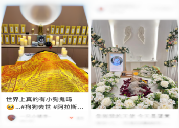 寵物火化殯儀館常見問題?資深顧問給實用解答!