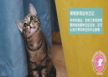 為什麼要寵物晶片註銷?(3個理由保護毛小孩!)
