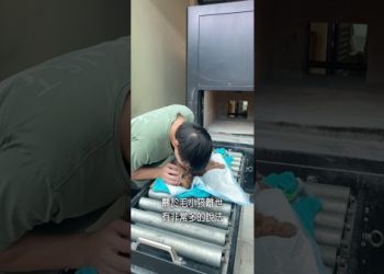 寵物骨灰放家裡安全嗎?專家教你5個放置小技巧!