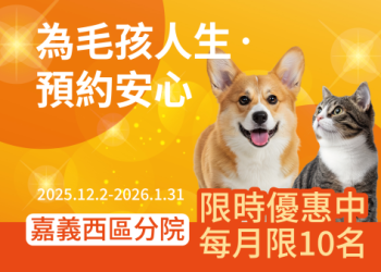 寵物頭七是什麼意思?簡單五步驟儀式教學一次看!