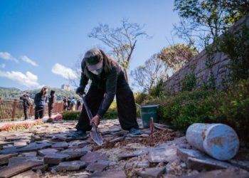 台中樹葬地點怎麼挑?家庭必看5個選擇樹葬場重點