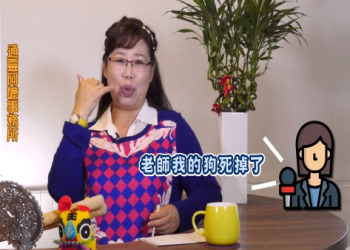 如何快速幫寵物做功德?簡單妙招新手適用!