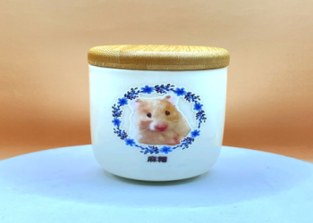 貓火化後骨灰怎麼保存好?(暖心建議讓回憶永留)