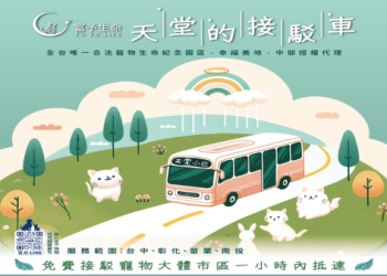 寵物骨灰放置效果怎樣?了解風水影響小貼士!