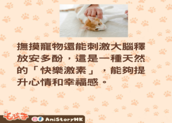貓狗死亡處理效果好嗎?專家親授有效技巧