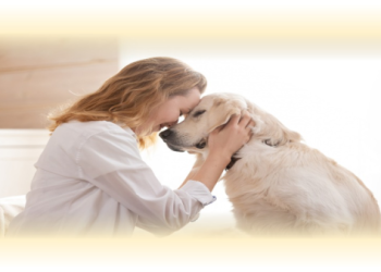 家裡能放寵物骨灰嗎?過來人分享這樣做最安心