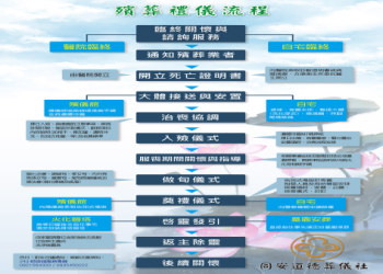 狗狗葬儀社服務流程怎麼走?幾個步驟讓告別更安心