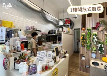 北新莊寵物安樂園評價看價格?解讀背後服務價值!