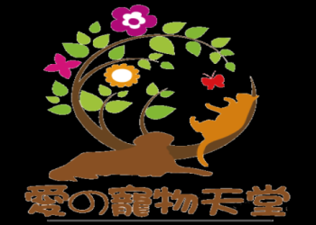 動物火葬場流程怎麼走?寵主必看完整步驟說明