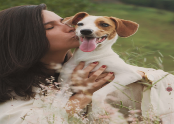 寵物往生佛經有用嗎?獸醫親證安撫寵主真實案例