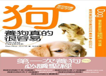 選擇寵物溝通注意費用,避免高價教學指南!