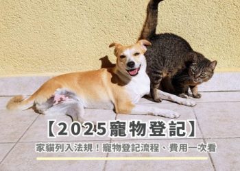 寵物登記站台中常見問題?專業解答5分鐘搞懂!