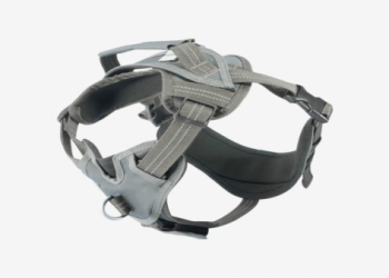 狗狗晶片轉移怎麼做?簡單三步驟完成換晶片!