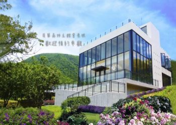 雲林寵物火化怎麼選?專業指南幫你避坑!