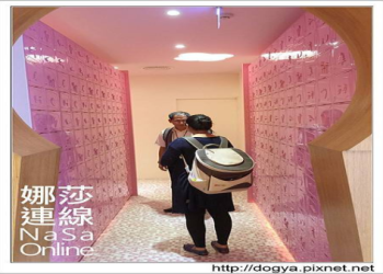 板橋寵物火化服務哪家好?比較五間業者價格與評價