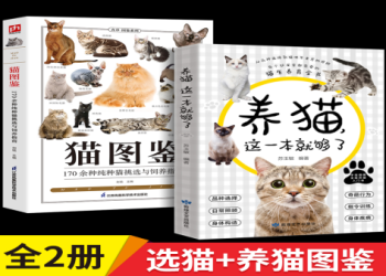 愛的寵物天堂有哪些服務?完整介紹一次看懂全部!