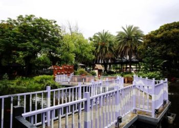 高雄寵物樂園好玩嗎?(寵物遊戲區開心玩心得)