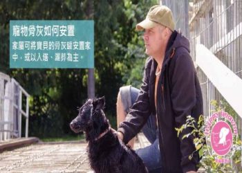 家裡放寵物骨灰罈怎麼做?(實用技巧提升正面能量!)