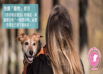 寵物火化後怎麼處理?墓園安葬與其他方式完整解析