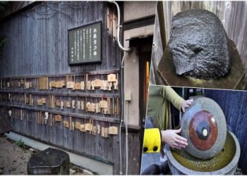 寵物光明燈推薦品牌(2023熱銷排名比一比)